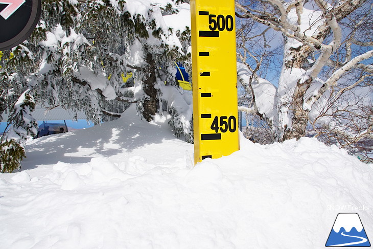 札幌国際スキー場 Welcome back POWDER SNOW !! ～パウダースノー復活～